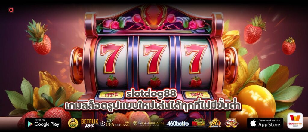 slotdog88 เกมสล็อตรูปแบบใหม่เล่นได้ทุกที่ไม่มีขั้นต่ำ
