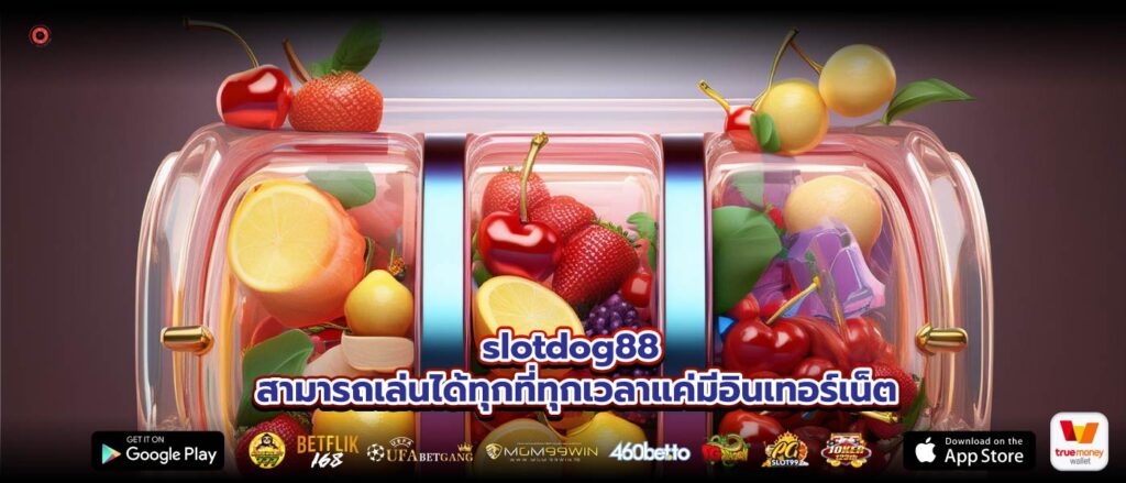 slotdog88 สามารถเล่นได้ทุกที่ทุกเวลาแค่มีอินเทอร์เน็ต